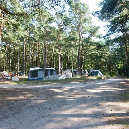 Campsite Mietwohnwagen #77044
